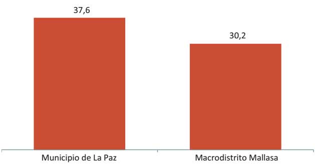 Gráfico 13