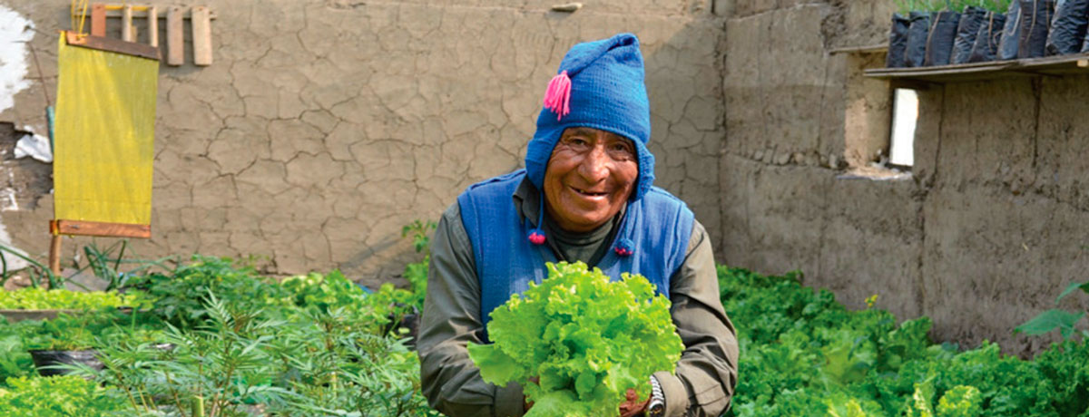 Agricultor Hampaturi