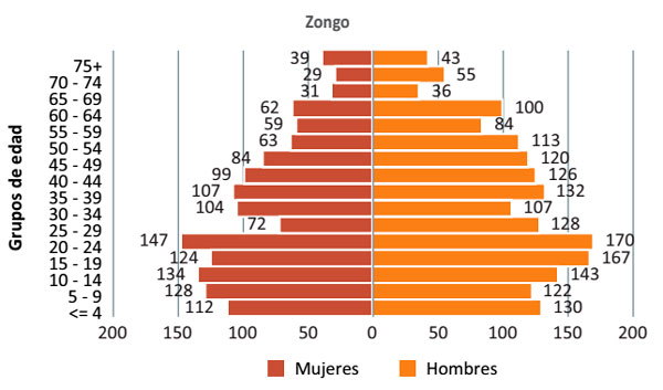 Pirámide poblacional Zongo