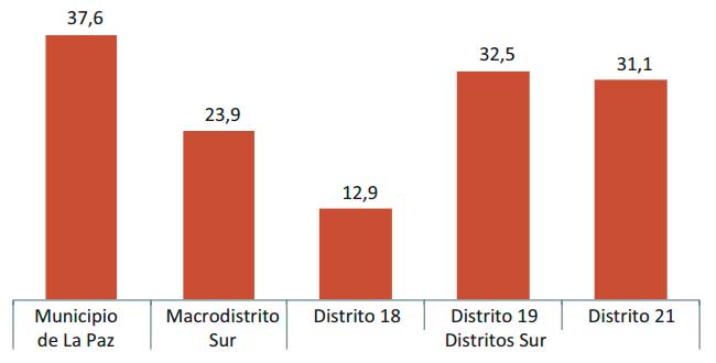 Gráfico 15
